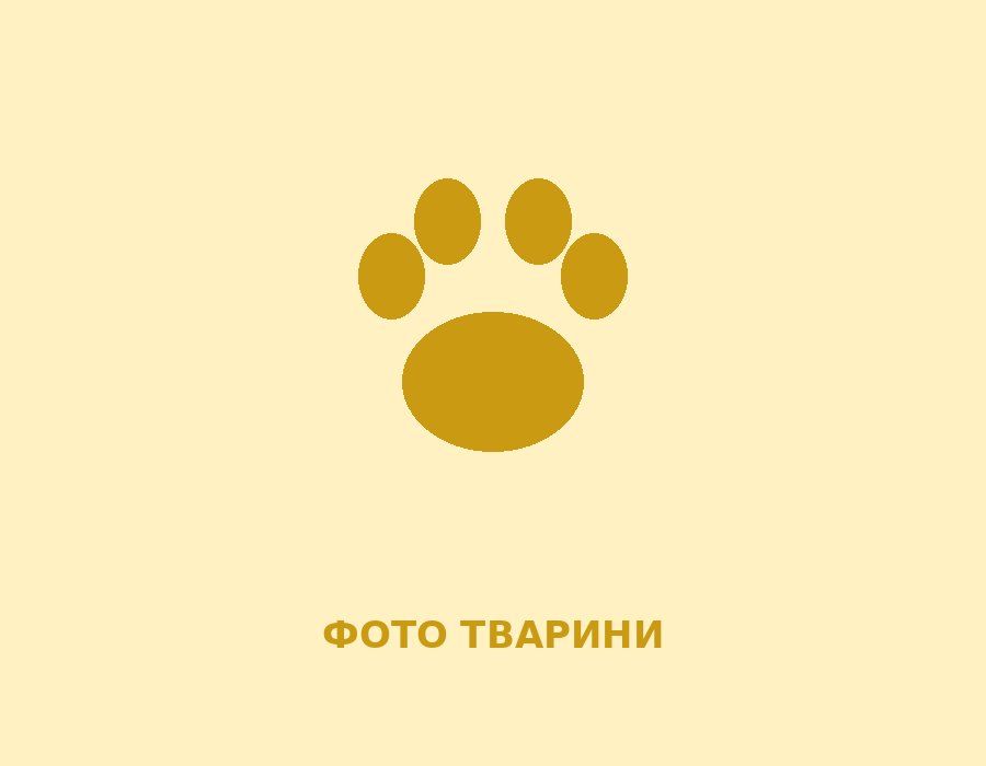 Сніжка