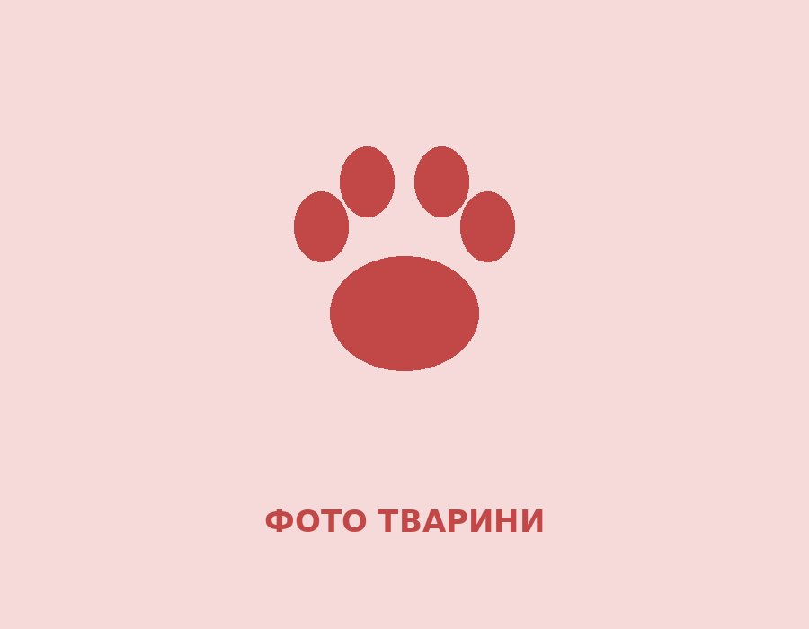 Мурка