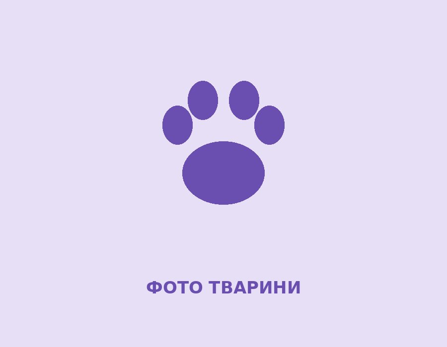 Базилік