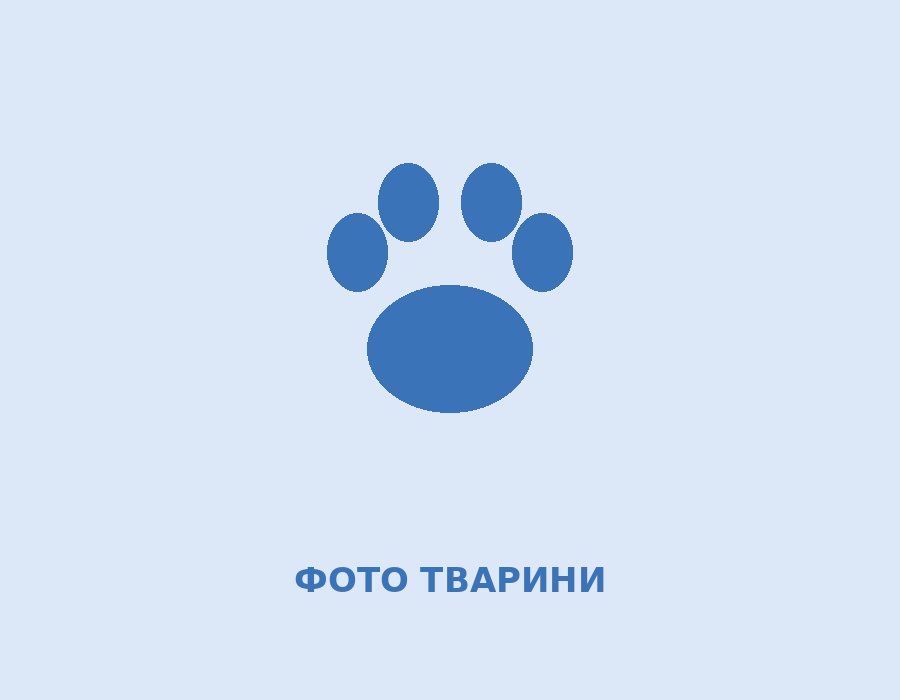 Сірко